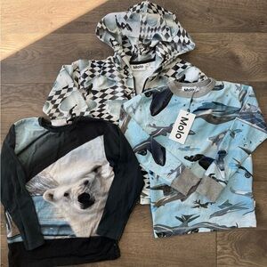 Molo Kids Shirts Lot of 3 | size 6